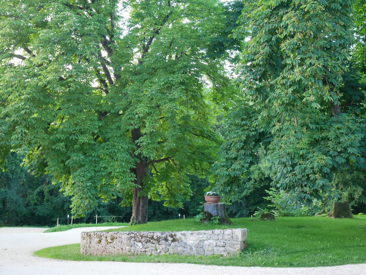 Les Maisons Du Cheylard-Lascaux Villa Les Farges  Ngoại thất bức ảnh